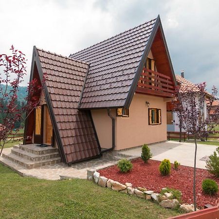 バイナ・バシュタ Mountain House Popovic Taraヴィラ エクステリア 写真