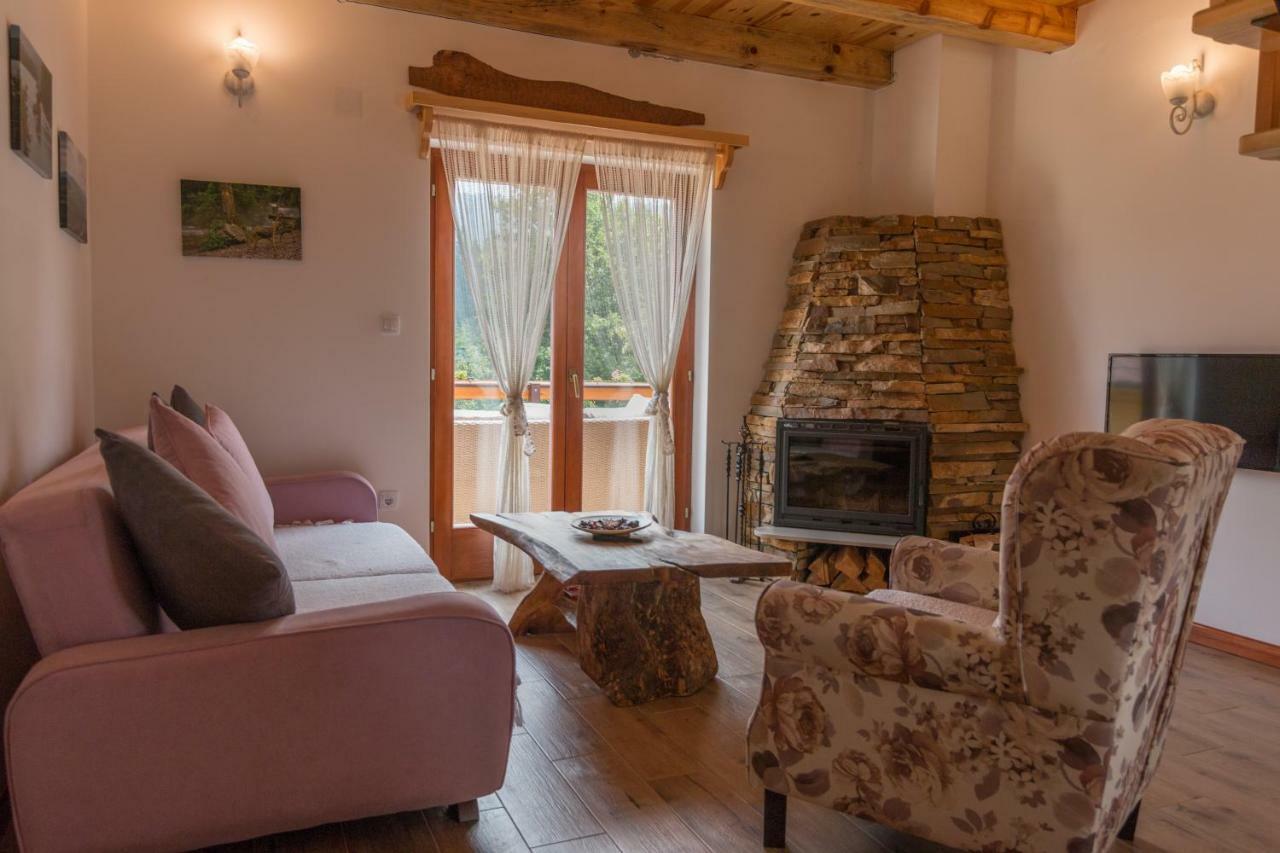 バイナ・バシュタ Mountain House Popovic Taraヴィラ エクステリア 写真
