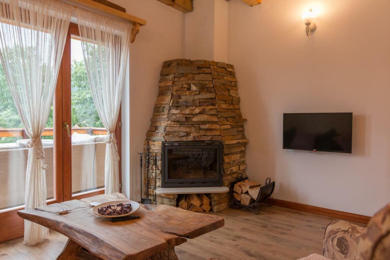 バイナ・バシュタ Mountain House Popovic Taraヴィラ エクステリア 写真